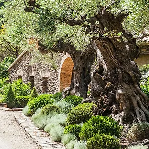 Pensión Domaine Les Mésanges, Gassin